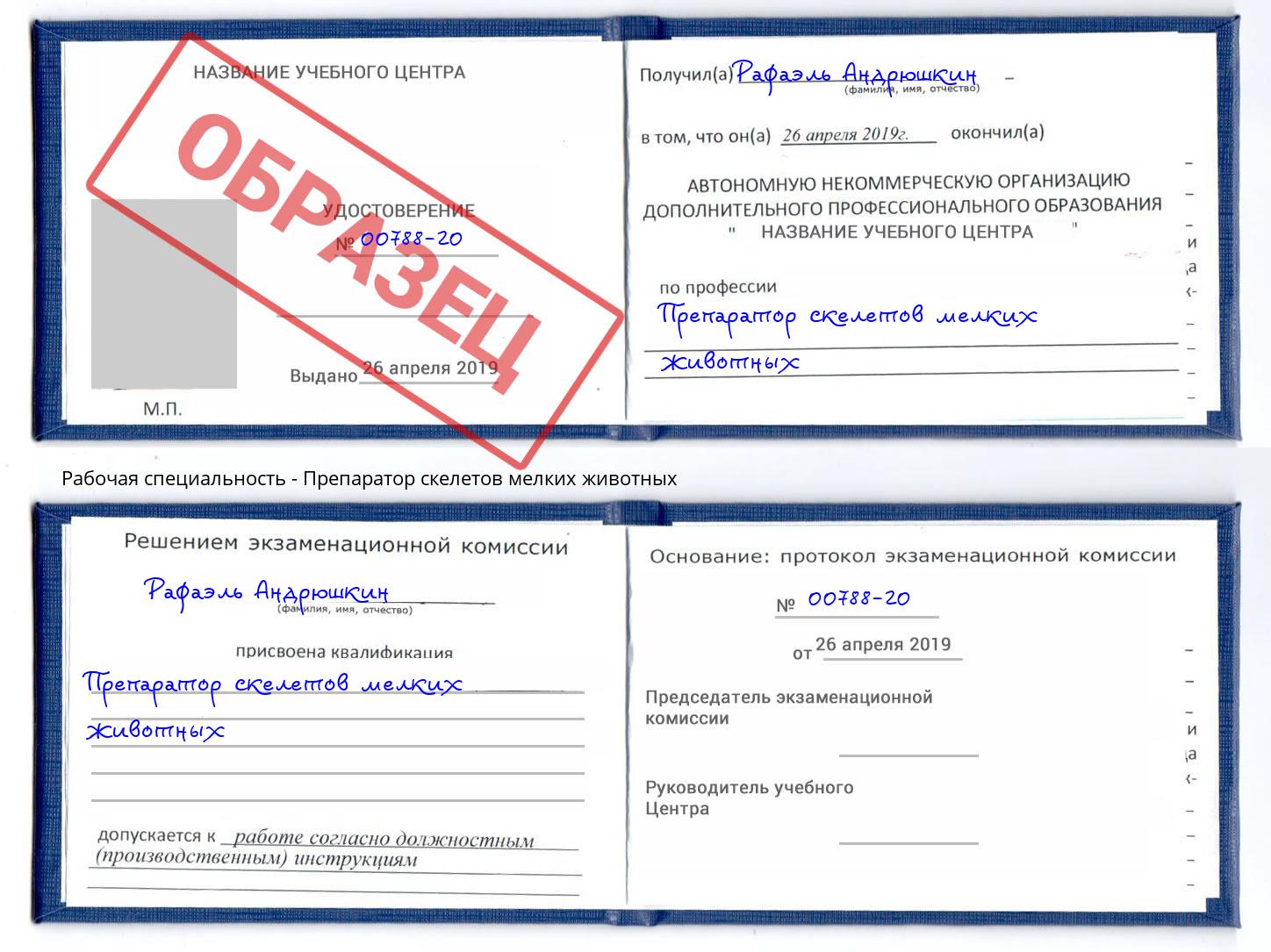 Препаратор скелетов мелких животных Чусовой