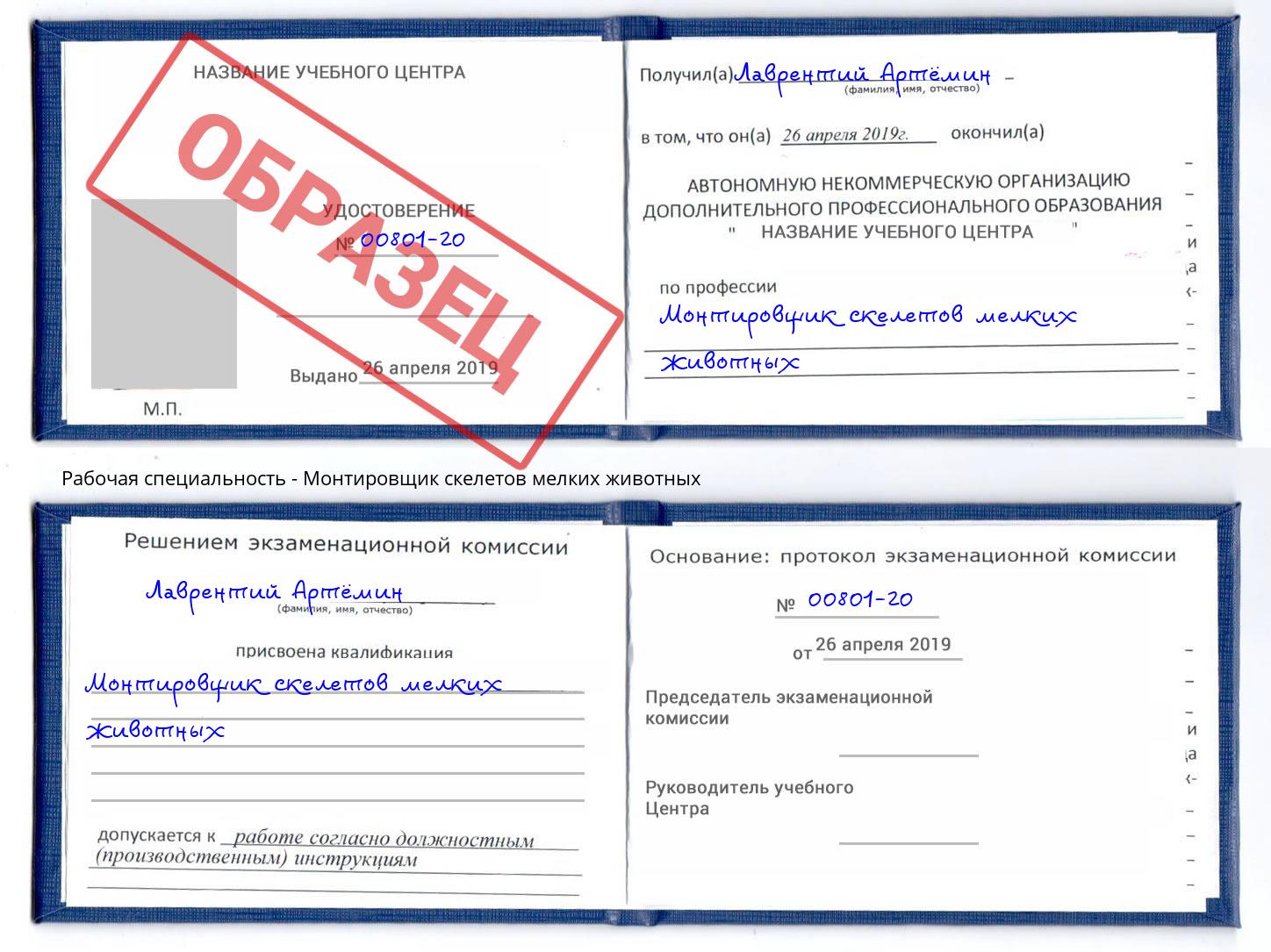 Монтировщик скелетов мелких животных Чусовой